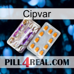 Cipvar new12